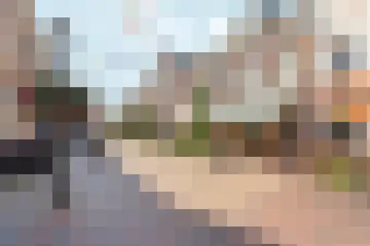 Zandbergstraat 1 Doesburg thumbnail 28