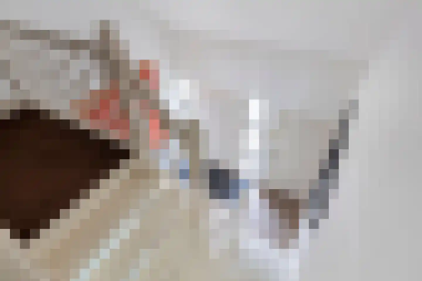Zandbergstraat 1 Valkenswaard thumbnail 37
