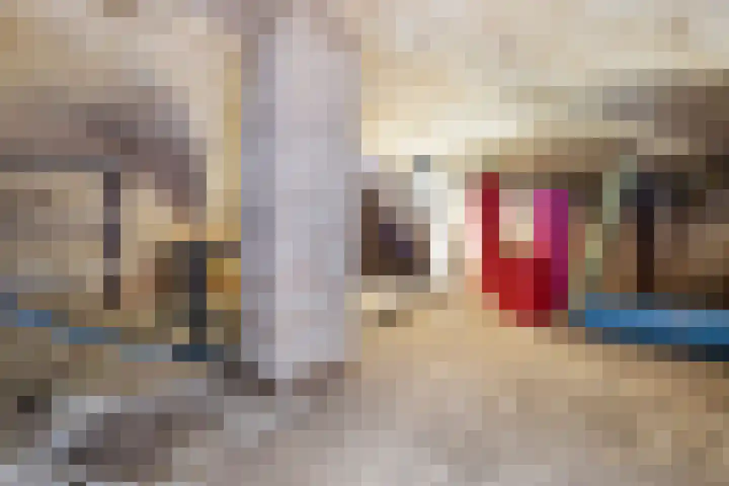 Zandbergstraat 20 Doesburg thumbnail 21