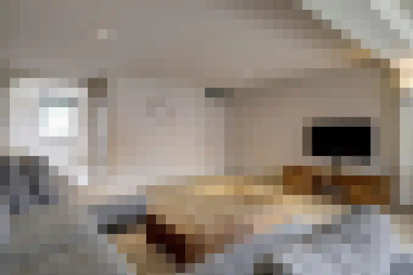 Zandbergstraat 23 Roermond thumbnail 14