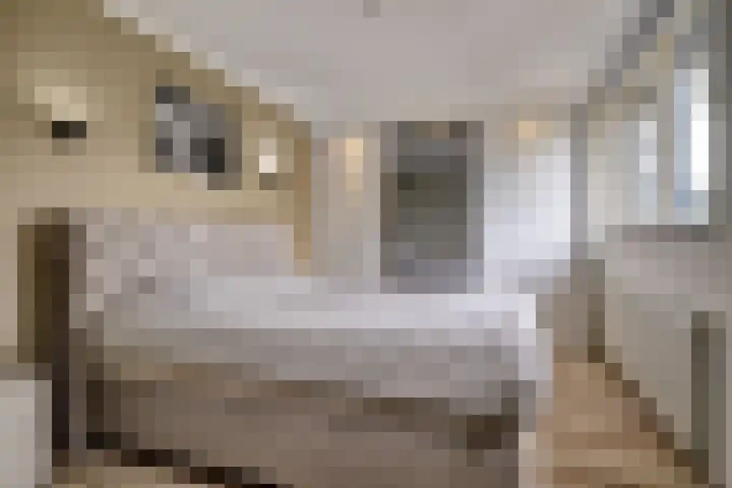 Zandbergstraat 23 Roermond thumbnail 29