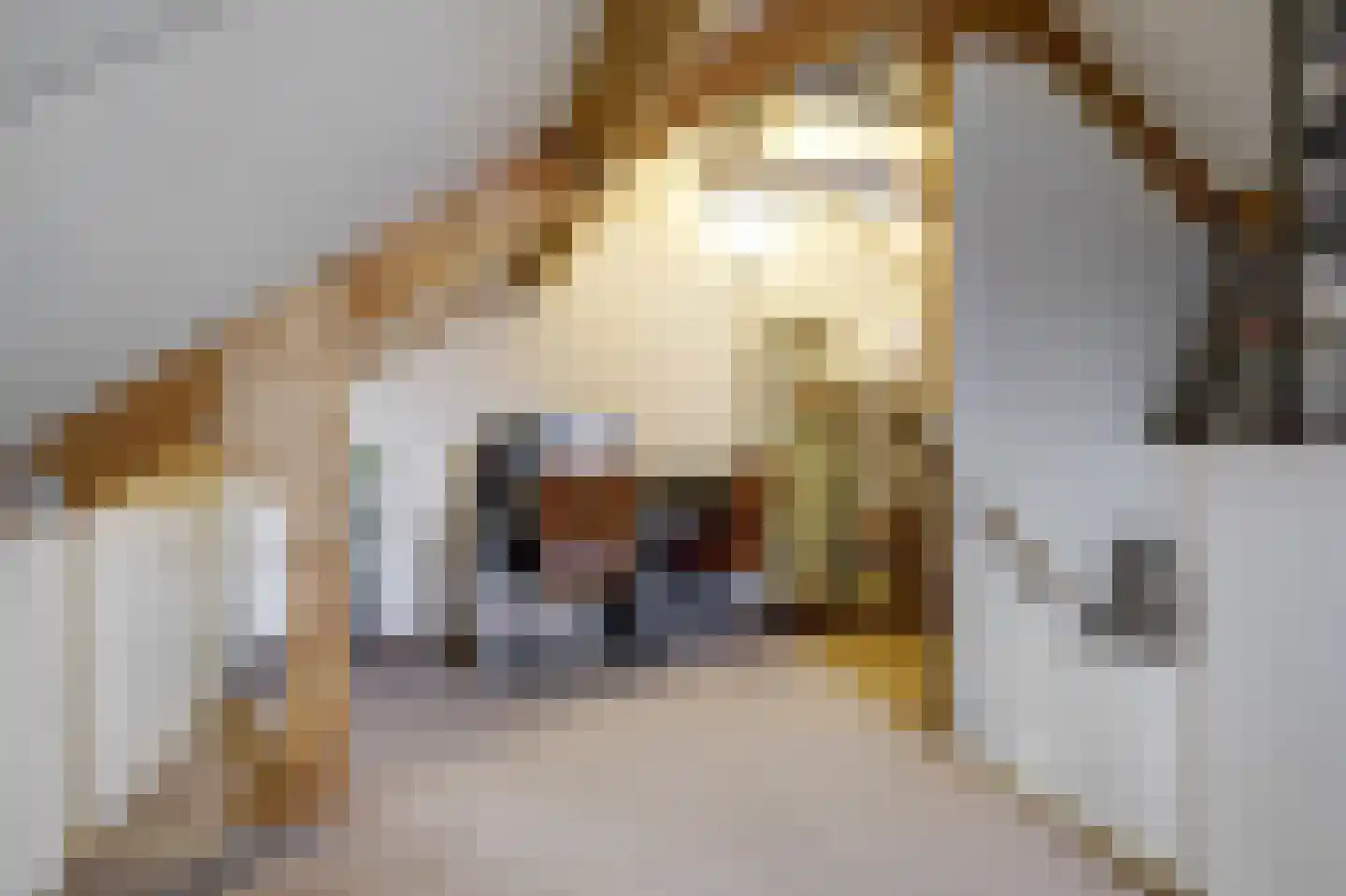 Zandbergstraat 23 Roermond thumbnail 34