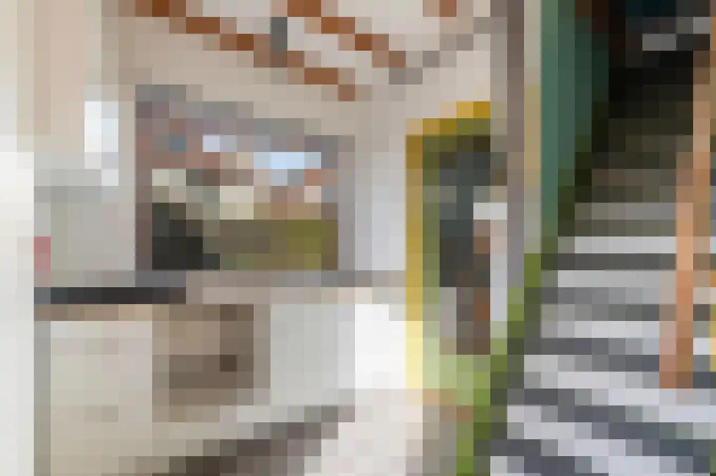 Zandbergstraat 44 Doesburg thumbnail 17