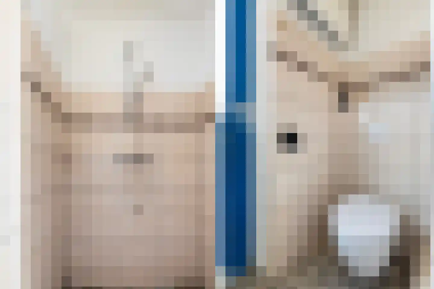 Zandbergstraat 44 Doesburg thumbnail 7