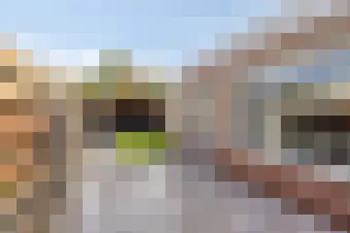 Zandbergstraat 9 IJsselmuiden thumbnail 4