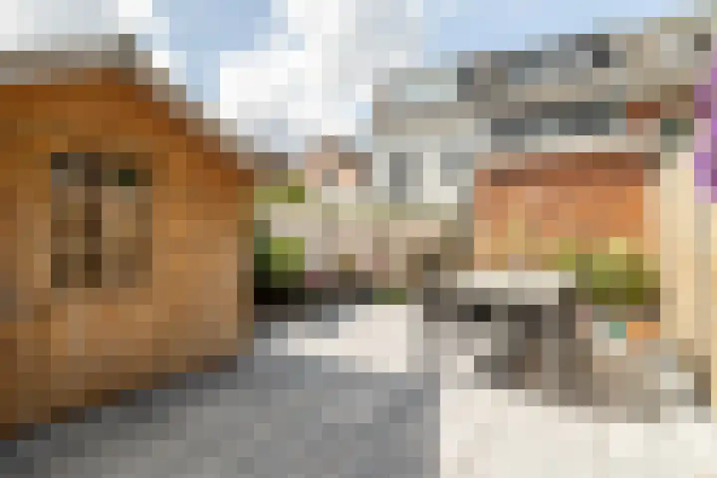 Zandbergweg 111 Breda thumbnail 52