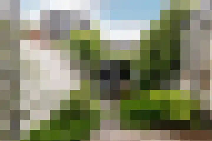 Zandbergweg 122 Breda thumbnail 25