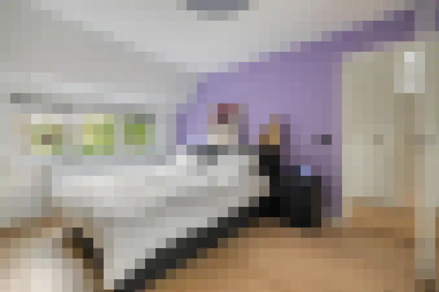 Zandbergweg 69 Breda thumbnail 33