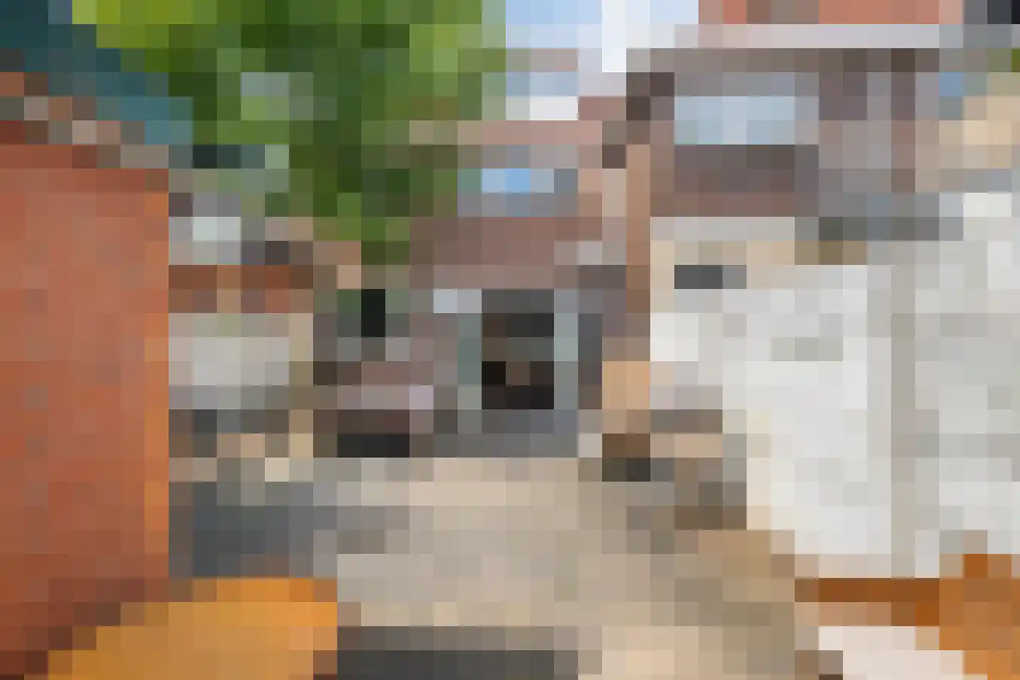 Zandbergweg 69 Breda thumbnail 53