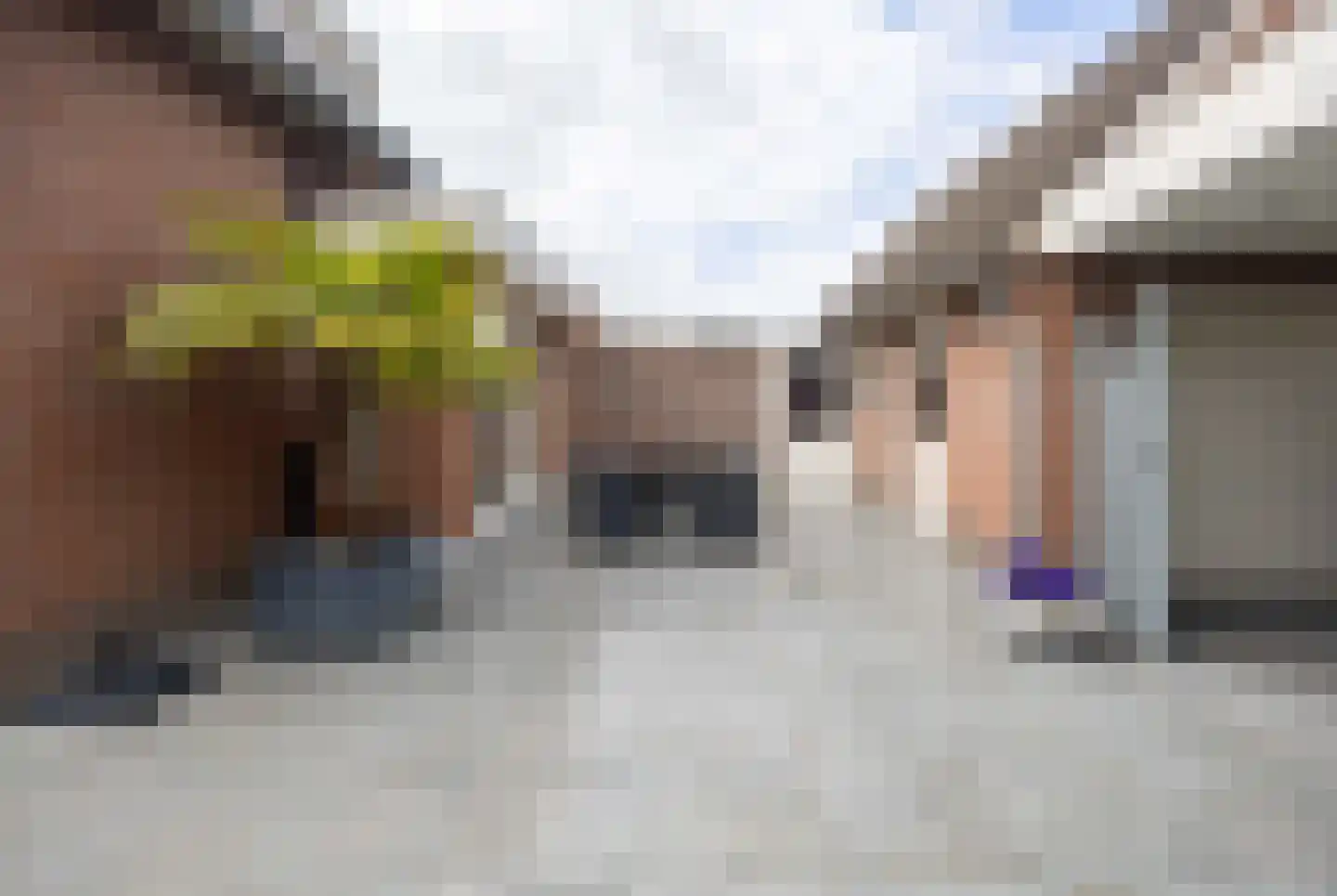 Zandbleek 52 Venray thumbnail 44
