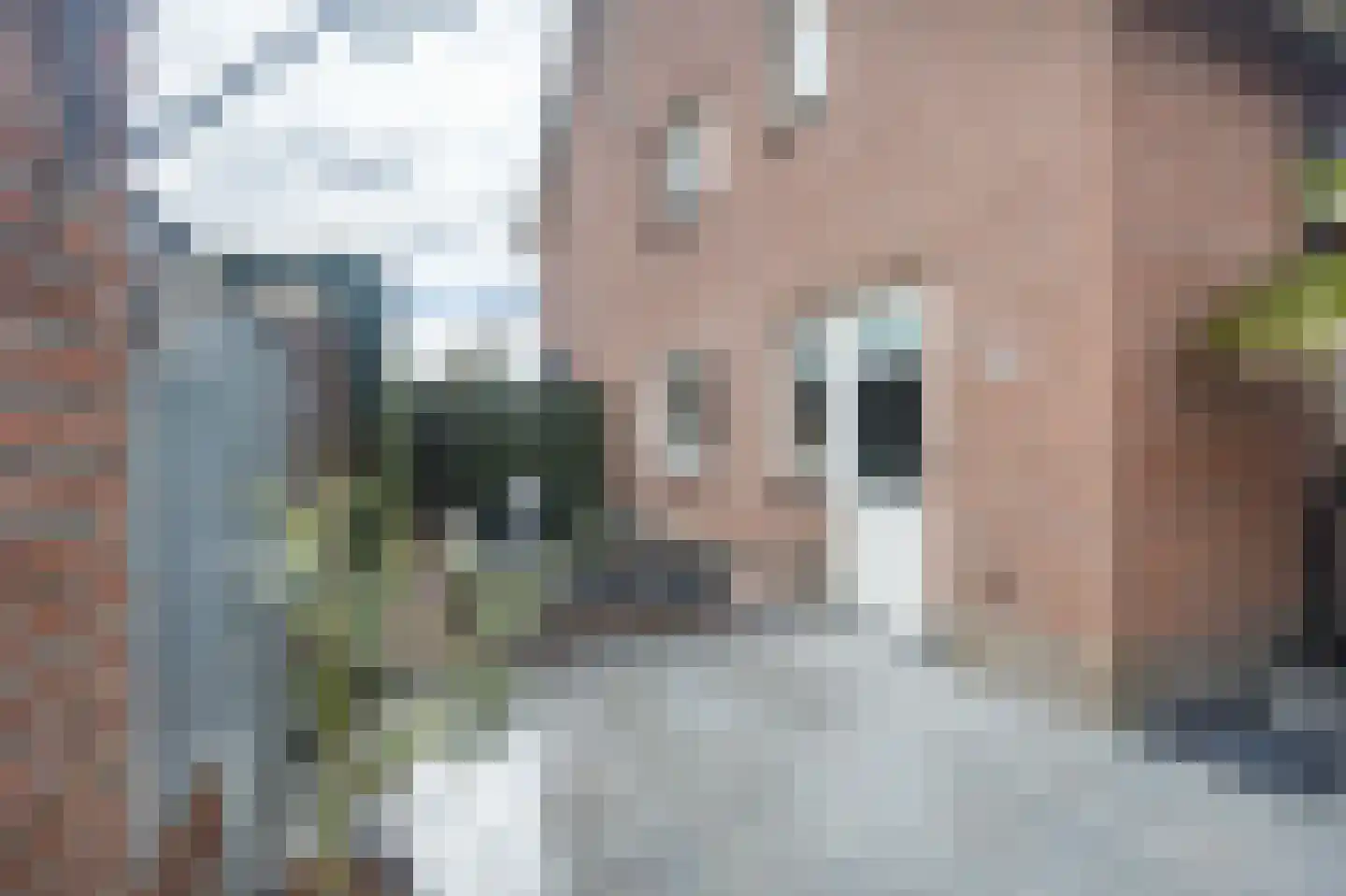 Zandbleek 52 Venray thumbnail 47