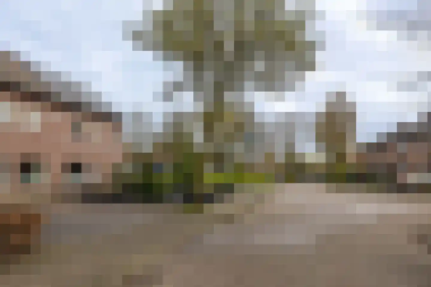 Zandbleek 52 Venray thumbnail 52