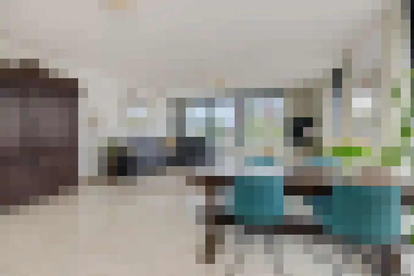 Zandbloem 11 Eindhoven thumbnail 12
