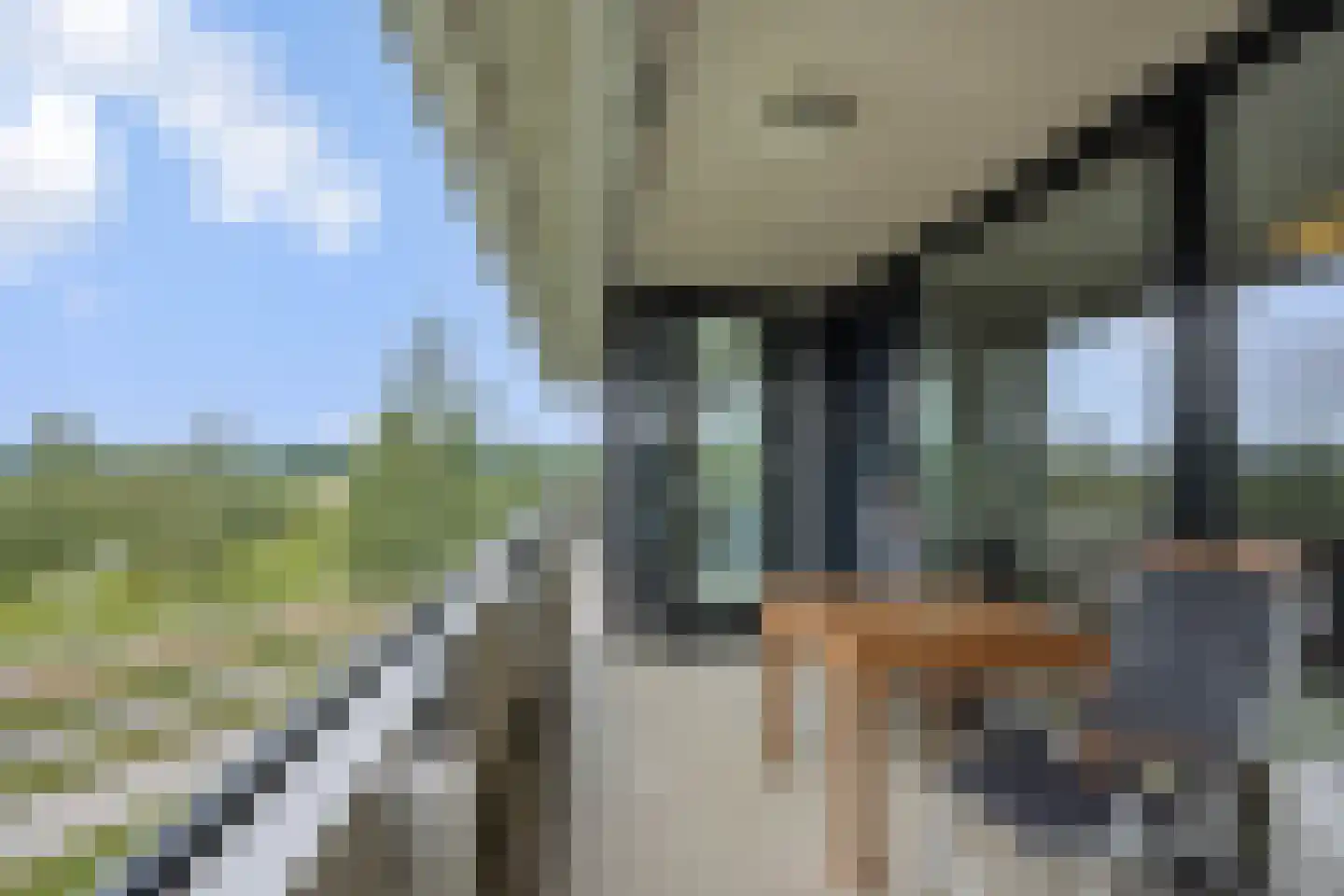 Zandbloem 11 Eindhoven thumbnail 27