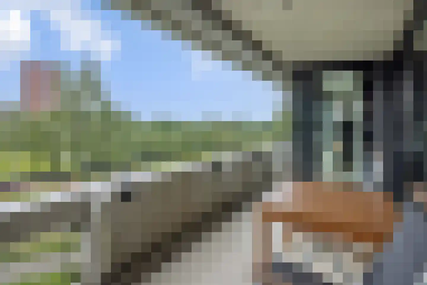 Zandbloem 11 Eindhoven thumbnail 28
