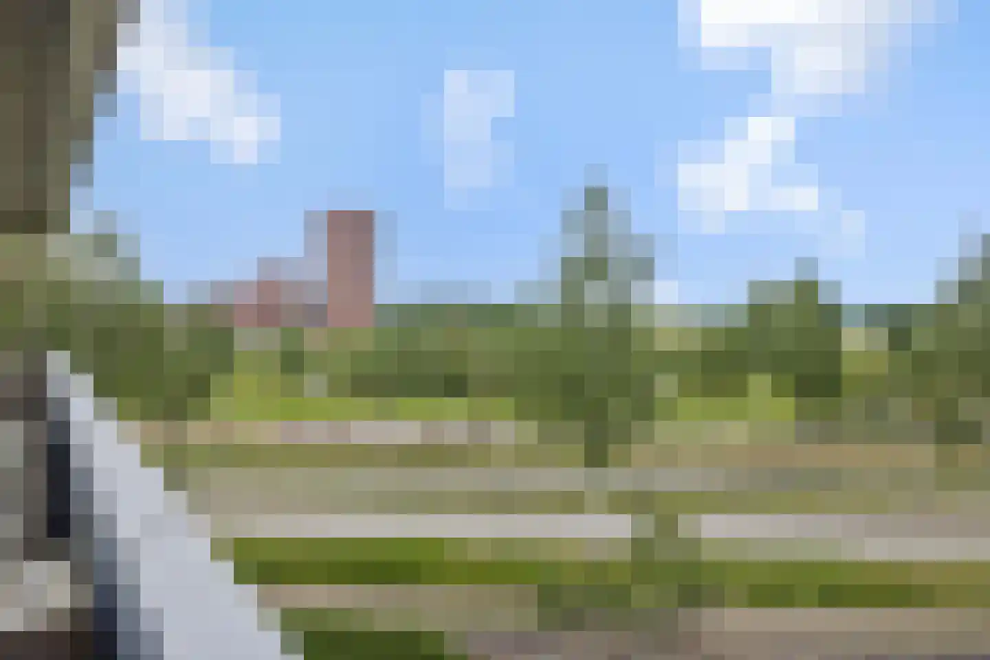Zandbloem 11 Eindhoven thumbnail 29