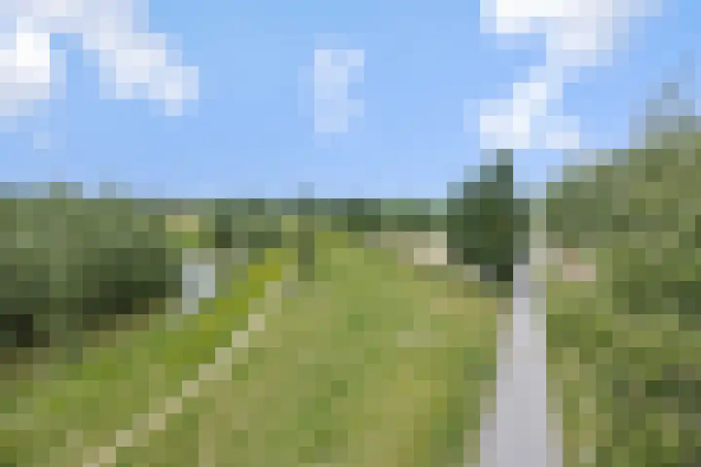 Zandbloem 11 Eindhoven thumbnail 30