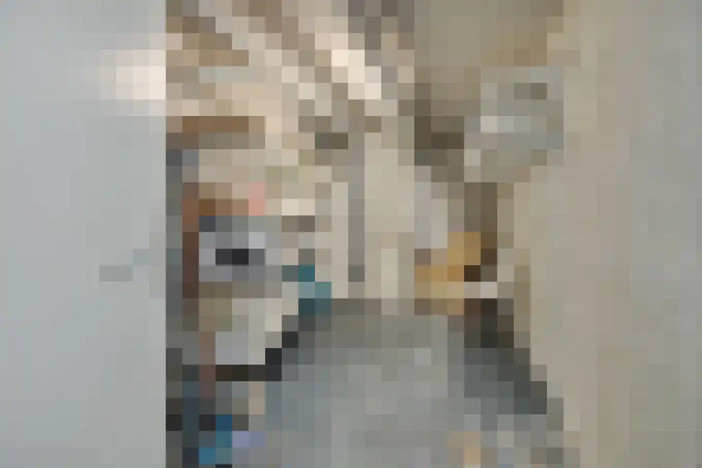 Zandbloem 11 Eindhoven thumbnail 31