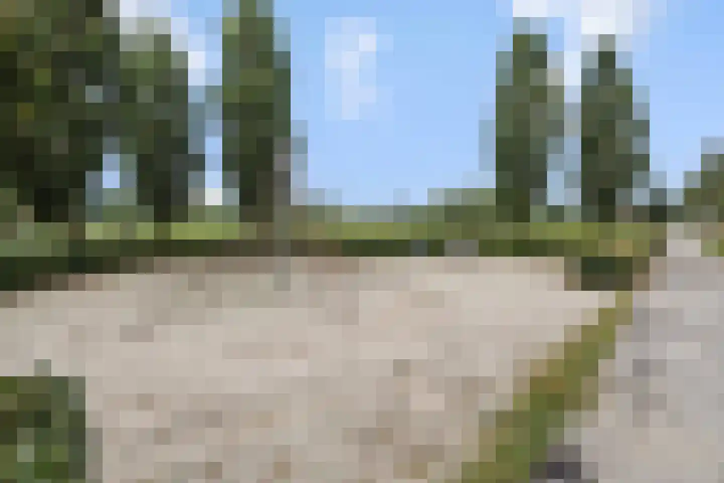 Zandbloem 11 Eindhoven thumbnail 34
