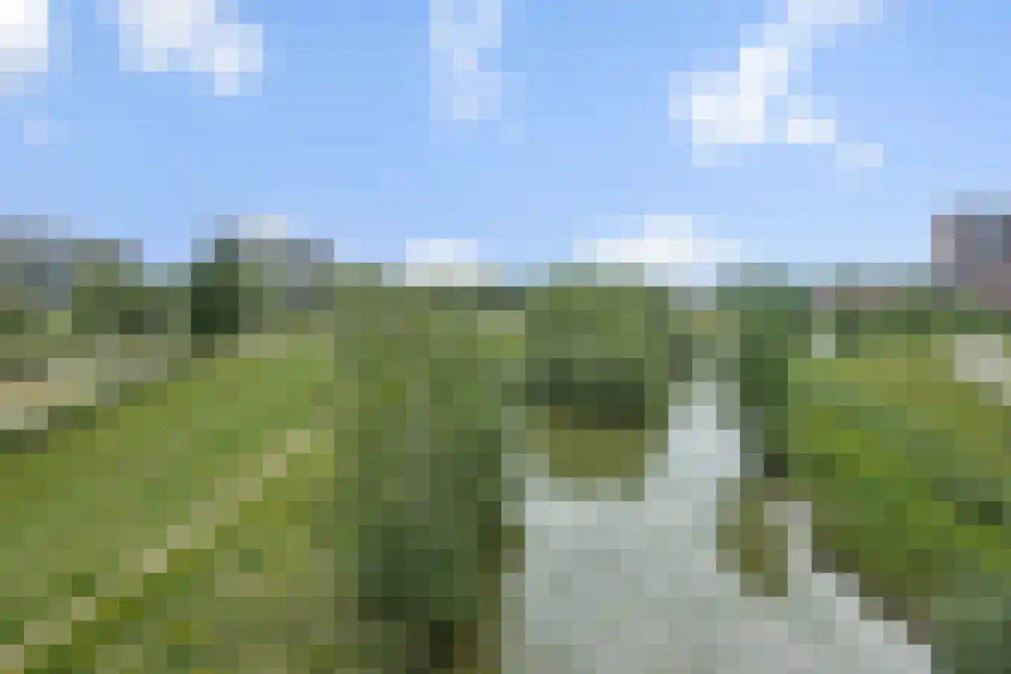 Zandbloem 11 Eindhoven thumbnail 35