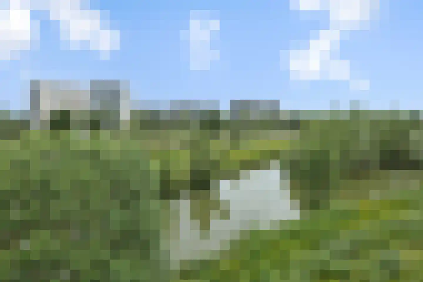 Zandbloem 11 Eindhoven thumbnail 36