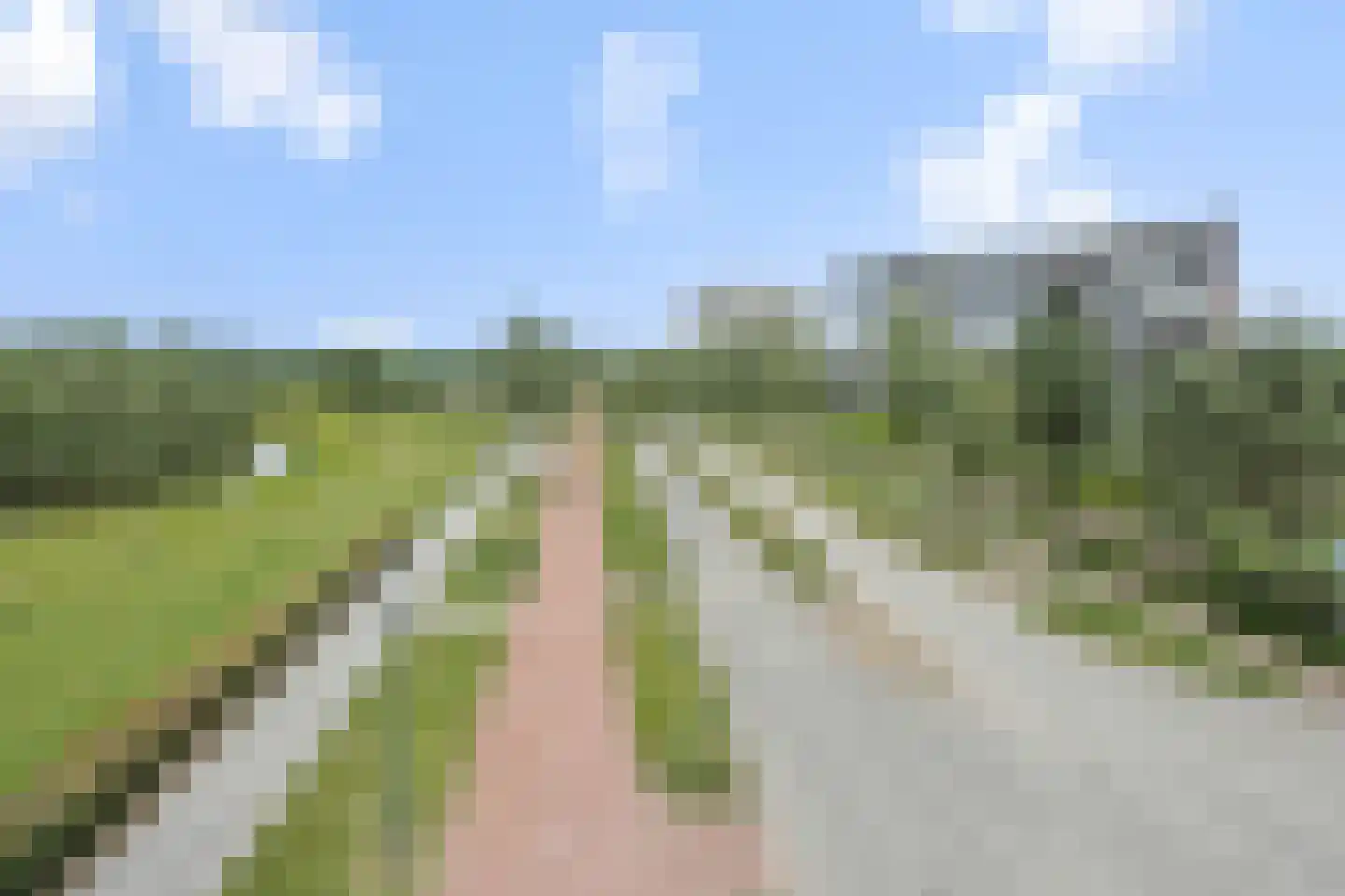 Zandbloem 11 Eindhoven thumbnail 38
