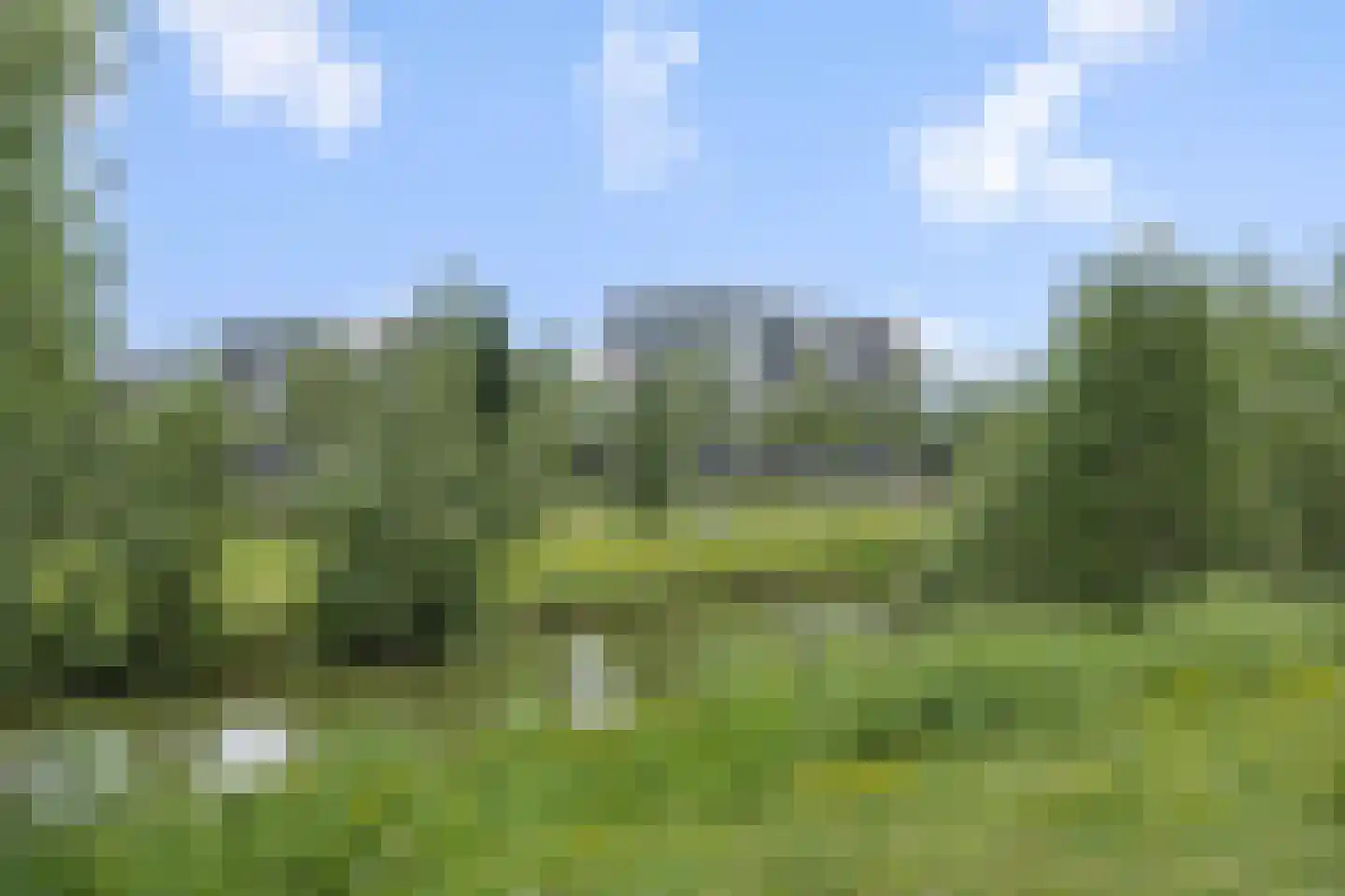 Zandbloem 11 Eindhoven thumbnail 4