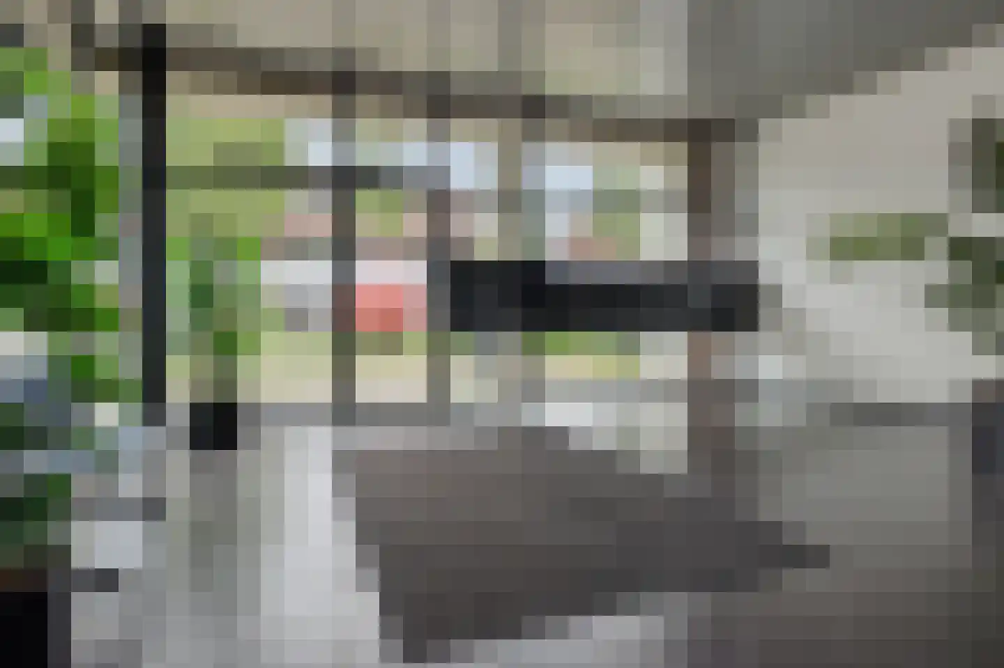 Zandbloem 11 Eindhoven thumbnail 6