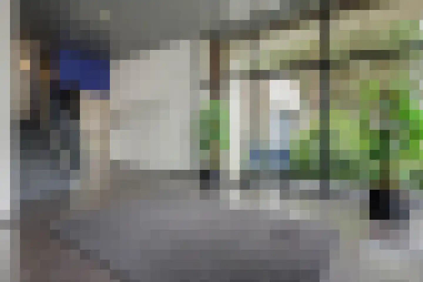 Zandbloem 11 Eindhoven thumbnail 7