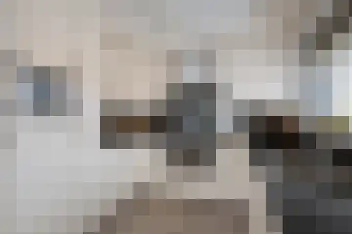 Zandbloem 149 Eindhoven thumbnail 19