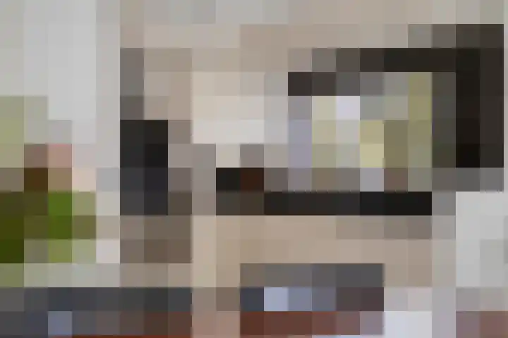 Zandbloem 149 Eindhoven thumbnail 20