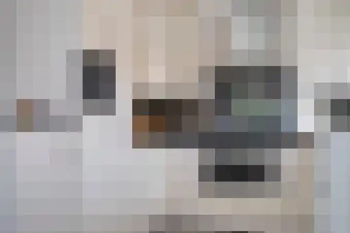 Zandbloem 149 Eindhoven thumbnail 22