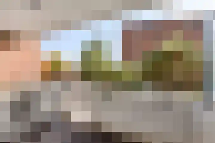 Zandbloem 149 Eindhoven thumbnail 23