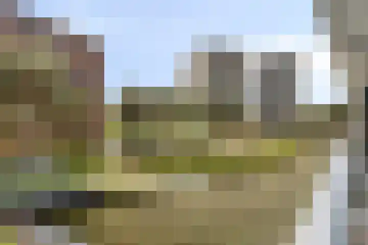 Zandbloem 149 Eindhoven thumbnail 25