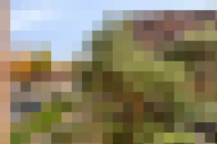 Zandbloem 149 Eindhoven thumbnail 26
