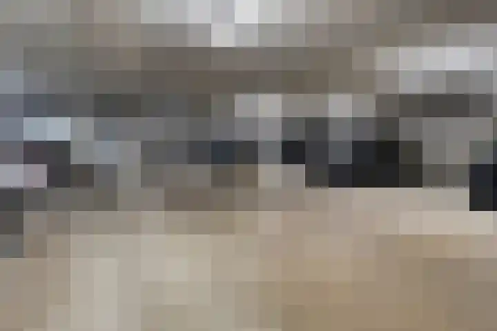 Zandbloem 149 Eindhoven thumbnail 33