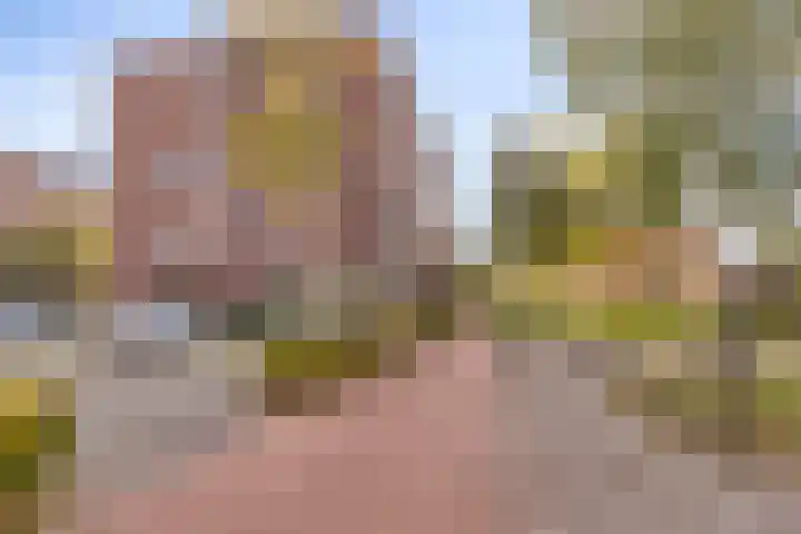 Zandbloem 149 Eindhoven thumbnail 34