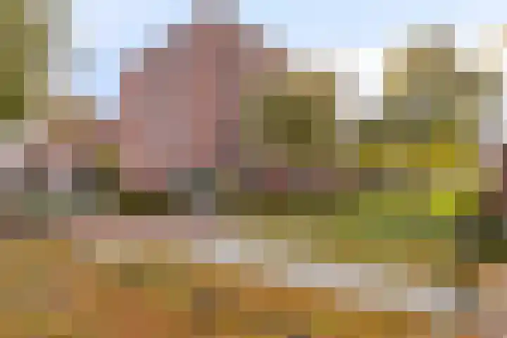 Zandbloem 149 Eindhoven thumbnail 35