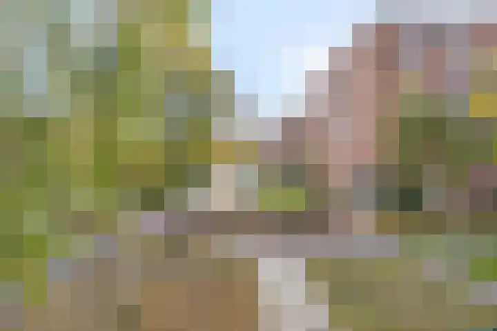 Zandbloem 149 Eindhoven thumbnail 36
