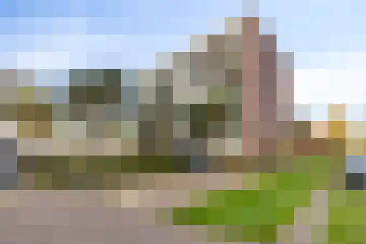 Zandbloem 149 Eindhoven thumbnail 37