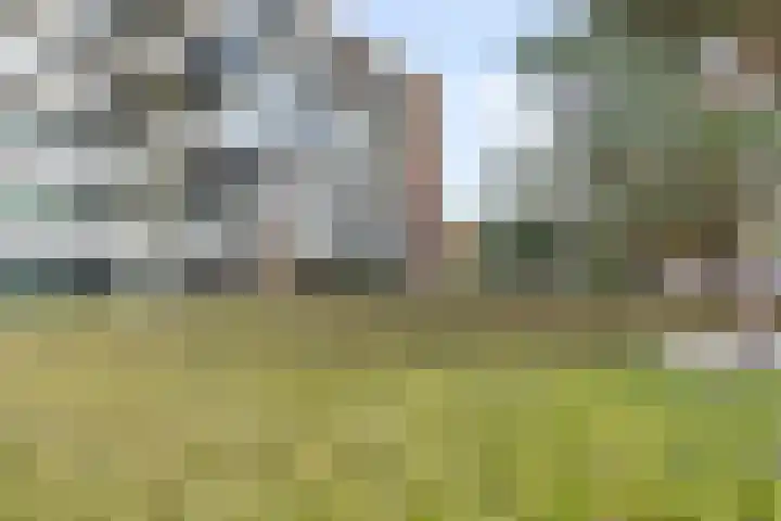 Zandbloem 149 Eindhoven thumbnail 38