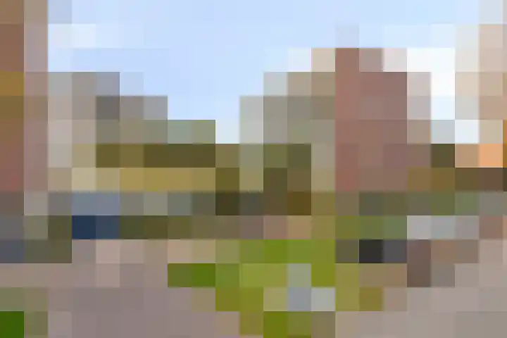 Zandbloem 149 Eindhoven thumbnail 39
