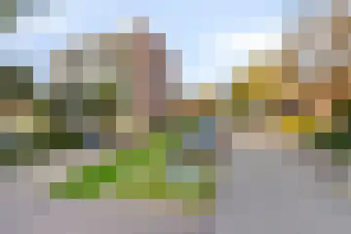 Zandbloem 149 Eindhoven thumbnail 40