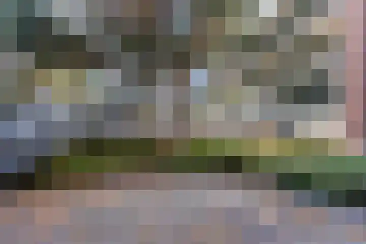 Zandbloem 149 Eindhoven thumbnail 41