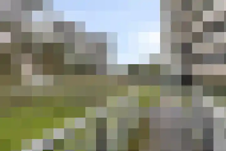 Zandbloem 149 Eindhoven thumbnail 42