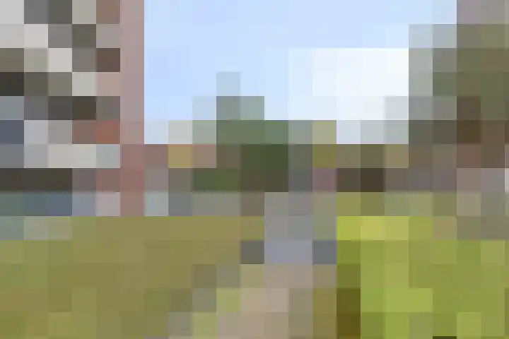 Zandbloem 149 Eindhoven thumbnail 43
