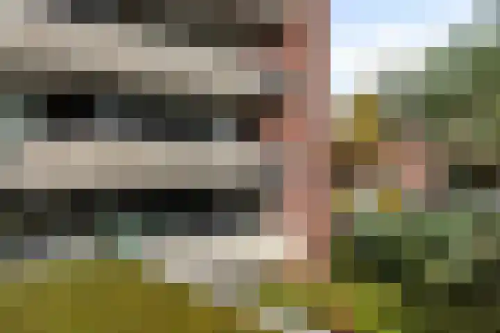Zandbloem 149 Eindhoven thumbnail 44
