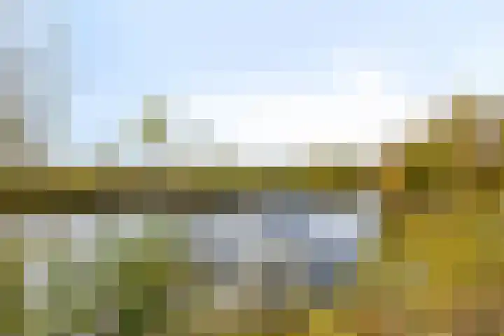 Zandbloem 149 Eindhoven thumbnail 45