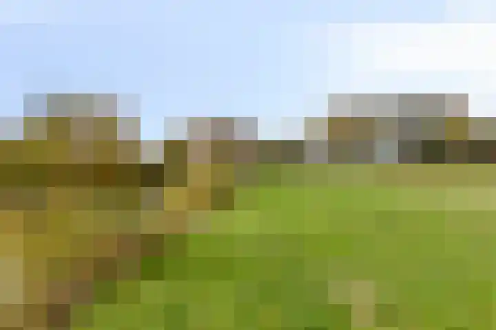 Zandbloem 149 Eindhoven thumbnail 46