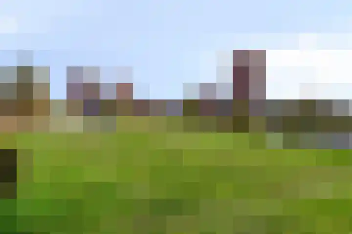 Zandbloem 149 Eindhoven thumbnail 48